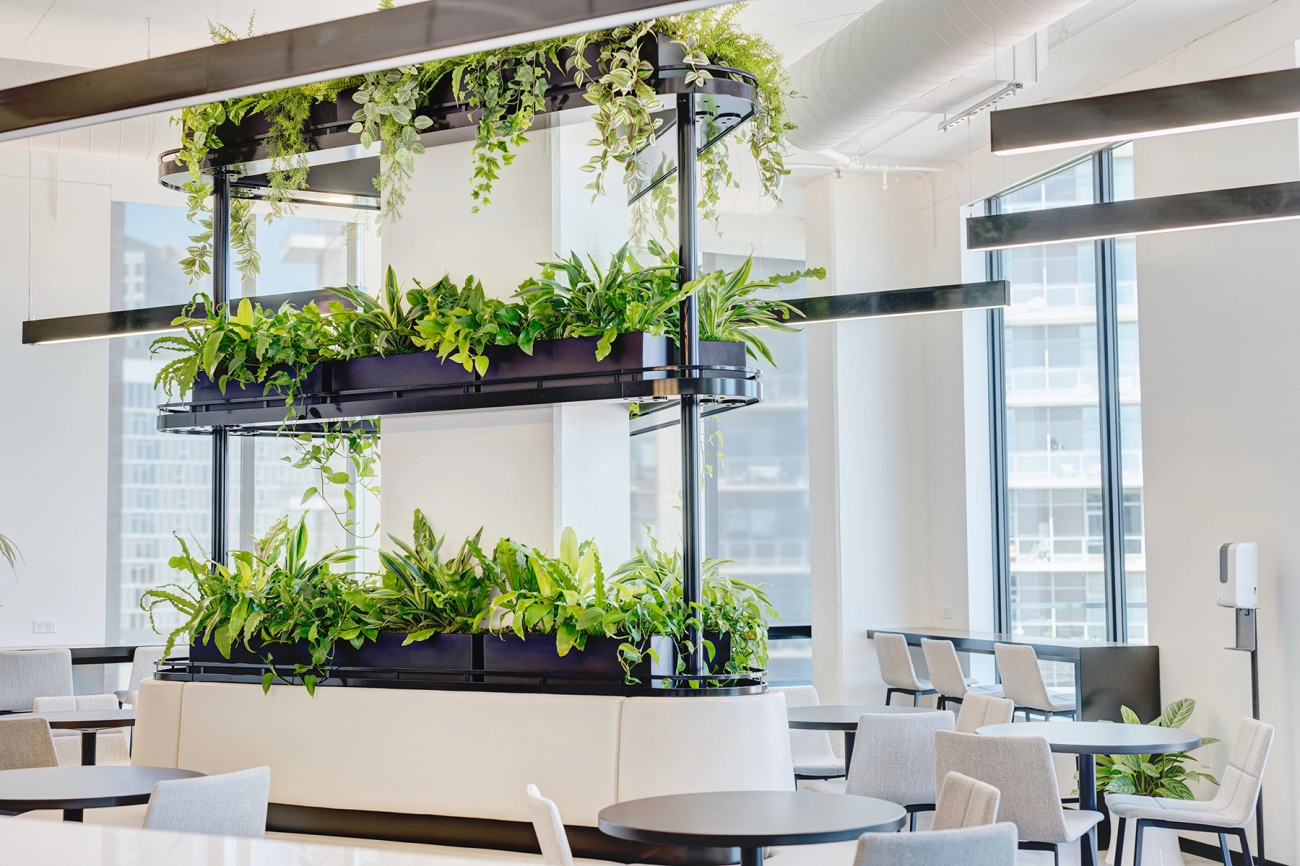 Compact Indoor Plants for Small Spaces and Vertical Styling